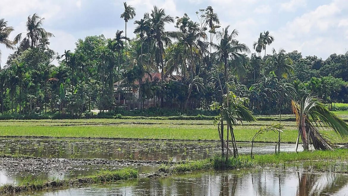 ১৫ লাখ টাকায় বিক্রি হলো আলোচিত সেই ‘গ্রাম’