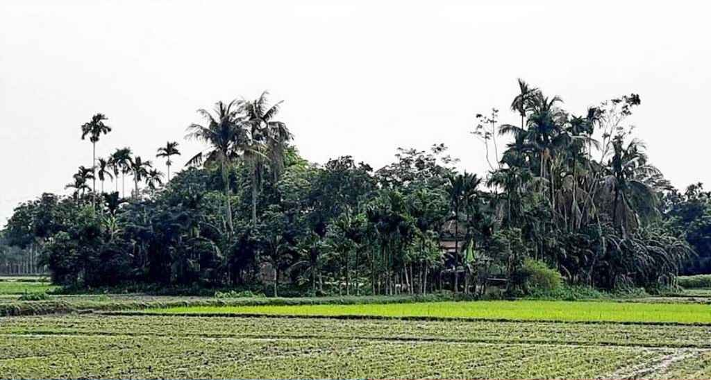 বিক্রি হয়ে গেল ৪ জন বসতির সেই উমানাথপুর গ্রাম