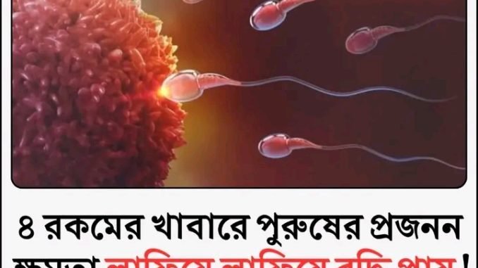 পুরুষের প্রজনন ক্ষমতা বাড়াতে ৪টি খাবার: জেনে নিন কী খাবেন!